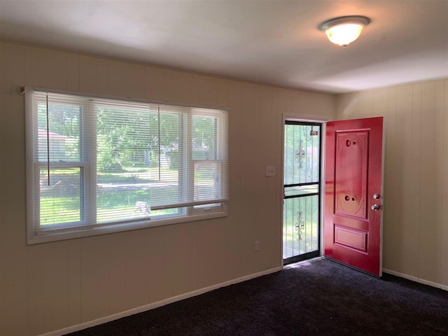 carpeted entrance foyer with a wealth of natural light