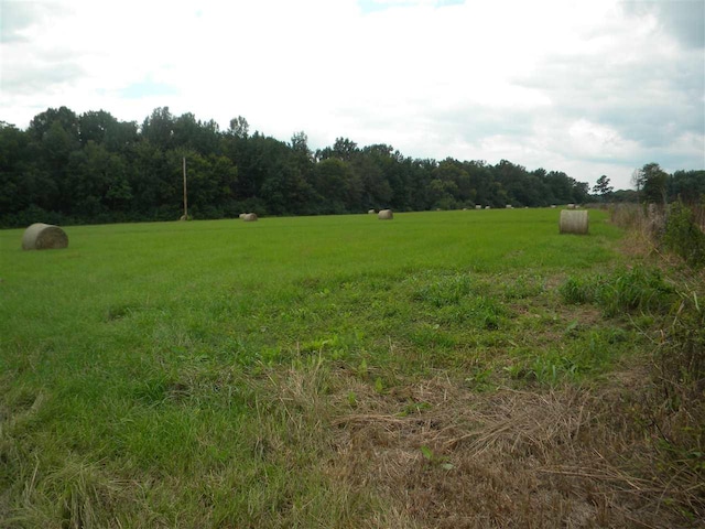 Listing photo 2 for 22.24ACRE County Road 46 Road, New Albany MS 38650