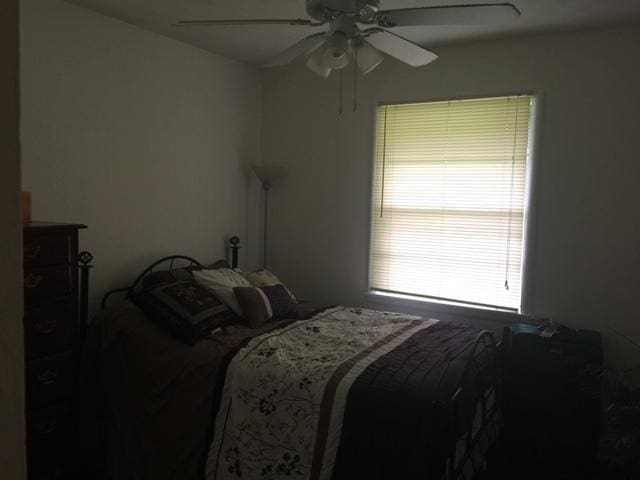 bedroom featuring ceiling fan