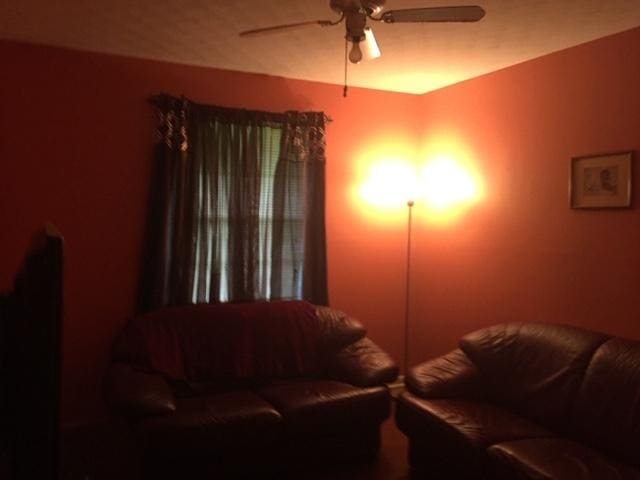 living room with ceiling fan