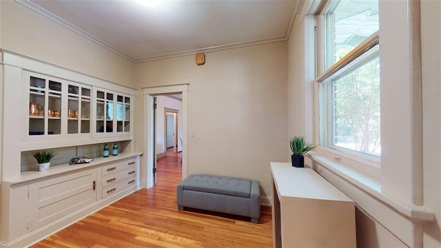 living area with light hardwood / wood-style floors and ornamental molding