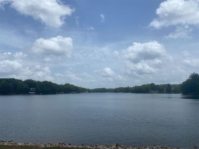 1182 Quachita Cv, Saulsbury, TN 38067 - photo 2
