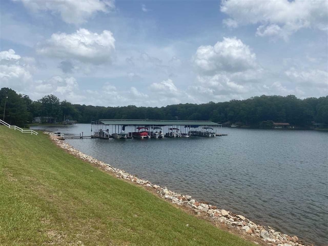 1182 Quachita Cv, Saulsbury, TN 38067 - photo 5