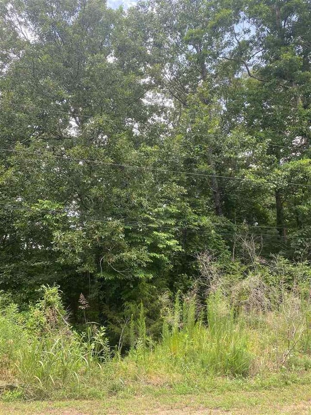 1182 Quachita Cv, Saulsbury, TN 38067 - photo 6