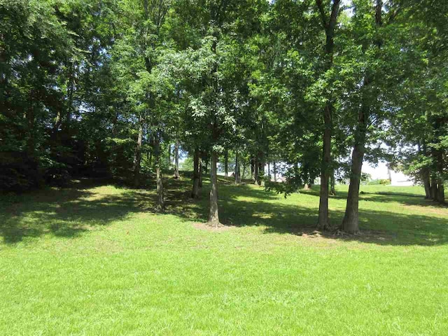 LOT23 Cherokee Lane, Bath Springs TN, 38311 land for sale