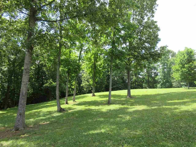 Listing photo 2 for LOT23 Cherokee Lane, Bath Springs TN 38311