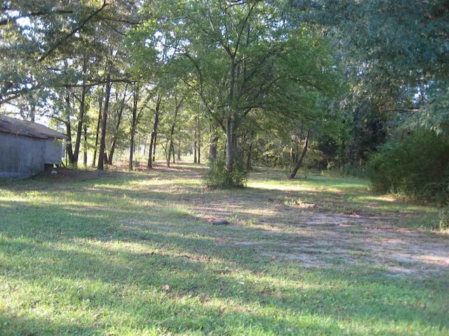518 E Main Street, Adamsville, TN 38310 - photo 10
