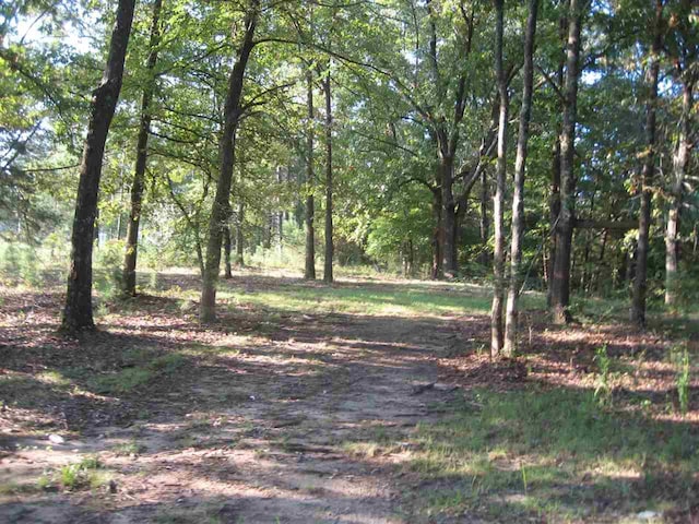 518 E Main Street, Adamsville, TN 38310 - photo 11