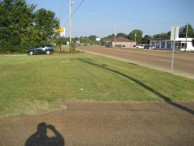 518 E Main Street, Adamsville, TN 38310 - photo 4