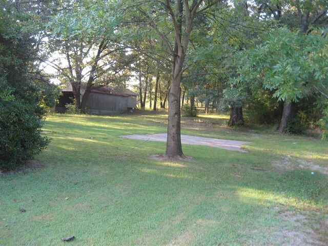 518 E Main Street, Adamsville, TN 38310 - photo 7