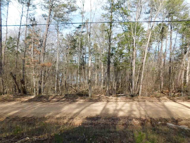 1 Lake Drive, Clifton, TN 38425