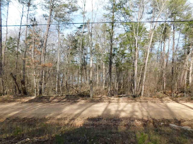 1 Lake Drive, Clifton TN, 38425 land for sale