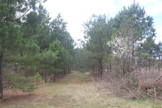 0 Tallaha Road, Charleston, MS 38921