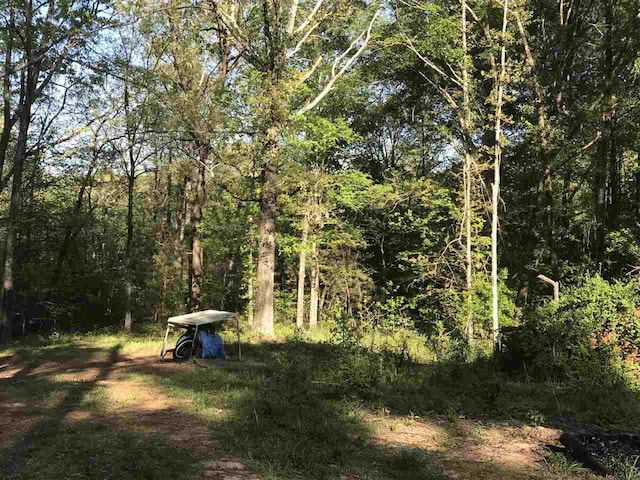 17 Prince Lane, Selmer, TN 38375 - photo 6
