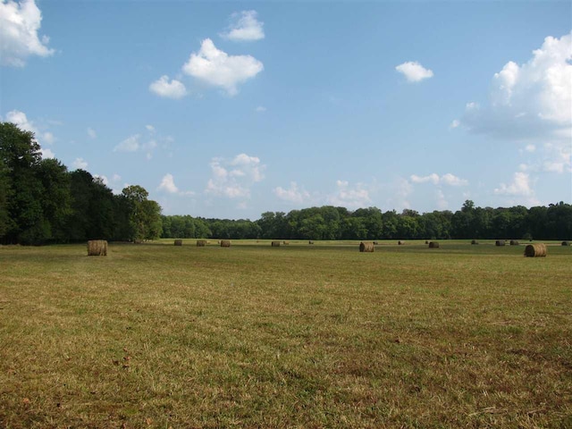 view of local wilderness featuring a rural view