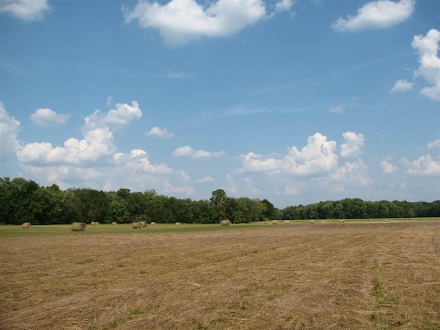 555 Dogtown Drive, Savannah, TN 38372 - photo 25