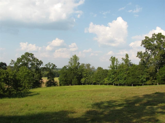 555 Dogtown Drive, Savannah, TN 38372 - photo 4