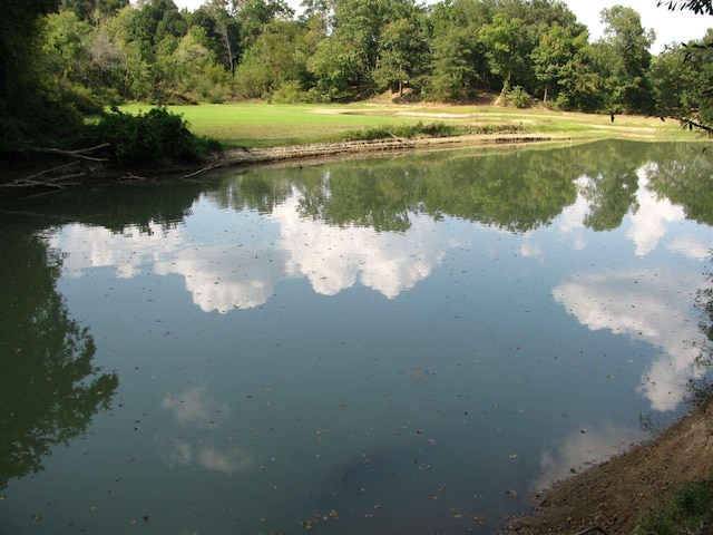 555 Dogtown Drive, Savannah, TN 38372 - photo 7