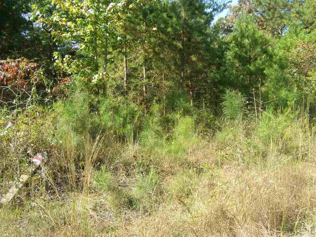 LOT16 Riviera Drive, Pickwick Lake, AL 35616 - photo 2