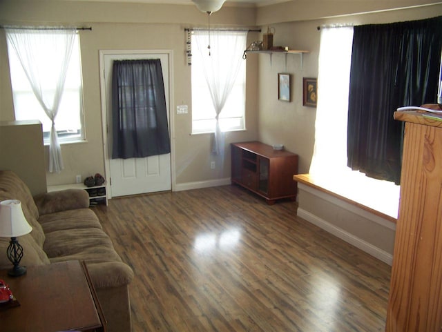 155 Eunice Lane, Savannah, TN 38372 - living room with dark hardwood / wood-style floors and a healthy amount of sunlight