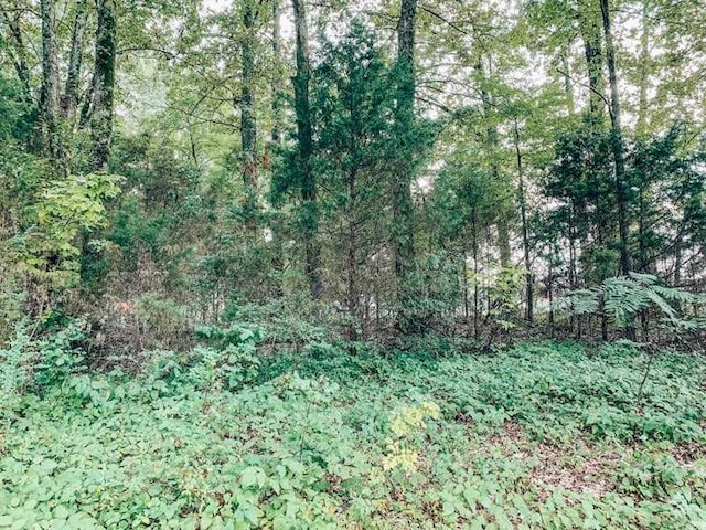 0 Stage Center Drive, Bartlett, TN 38134