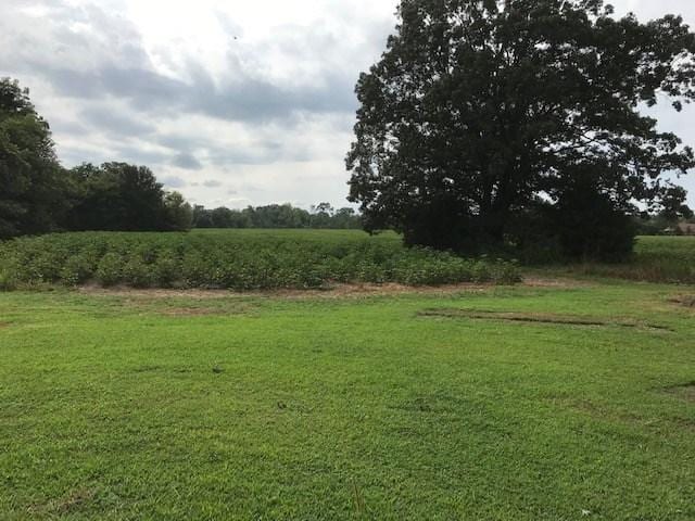2180 Whiteville Newcastle Road, Whiteville, TN 38075 - photo 13