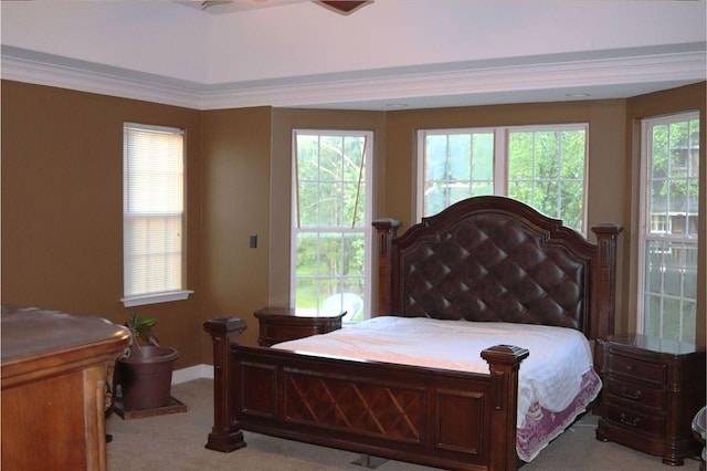 carpeted bedroom with multiple windows