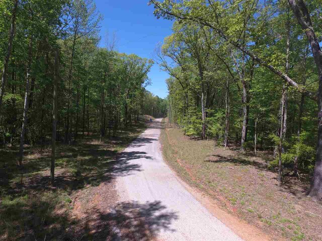 LOT7 Quaint Cv, Counce, TN 38326 - photo 4