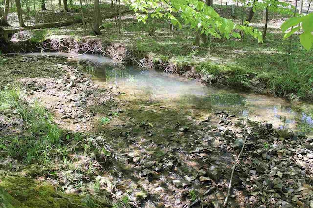 LOT7 Quaint Cv, Counce, TN 38326 - photo 6