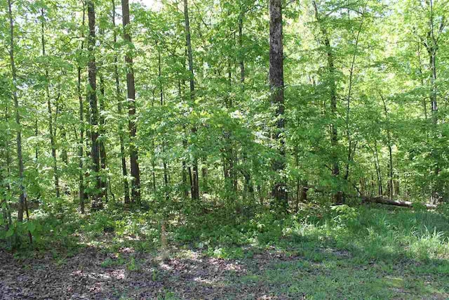 Listing photo 3 for LOT11 Shannon Lane, Counce TN 38326