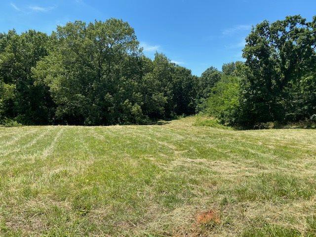 Listing photo 3 for LOT23AND24 Natchez Lane, Morris Chapel TN 38361