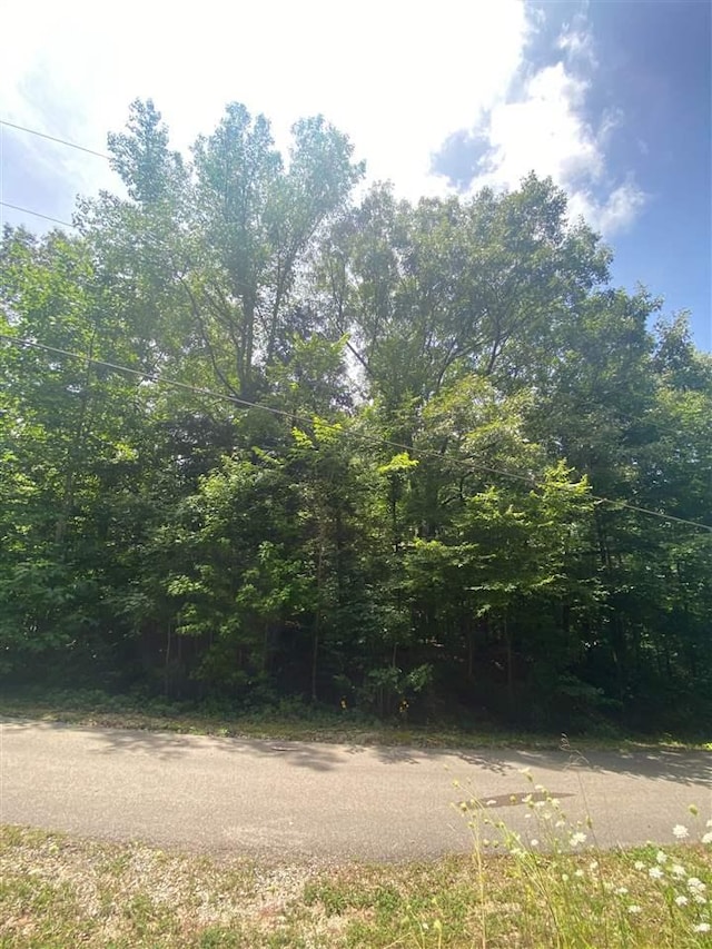 1328 Indian Lane, Saulsbury, TN 38067 - photo 7