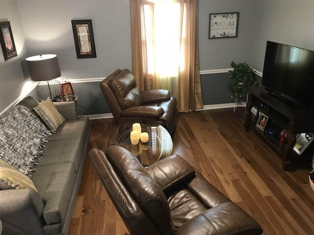 living room with dark hardwood / wood-style flooring