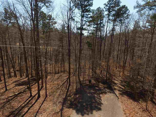85 Horizon Lane, Counce, TN 38326