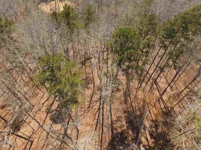 85 Horizon Lane, Counce, TN 38326