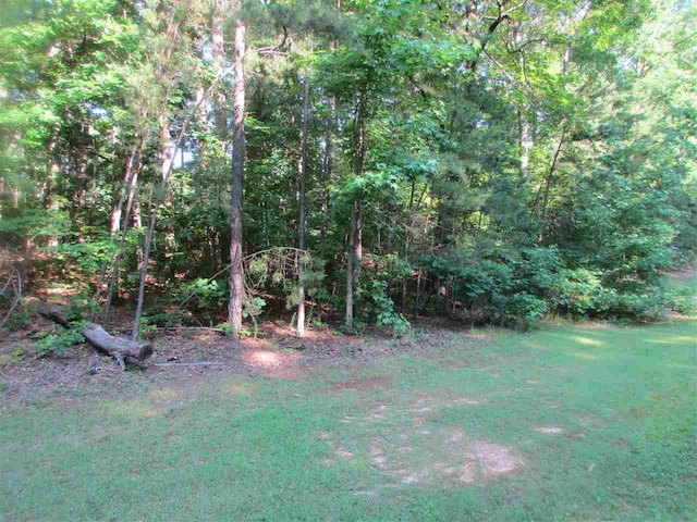 495 Briar Creek Cv, Counce TN, 38326 land for sale