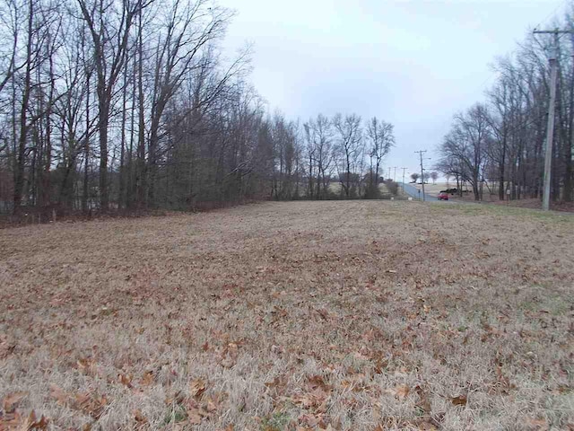 30 Shady Creek Cv, Ripley TN, 38063 land for sale