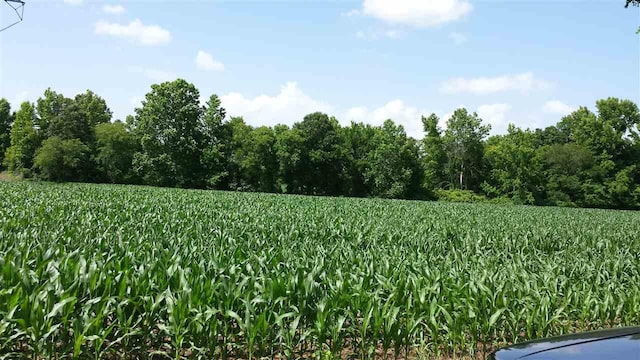 Coney Road, TN 38066