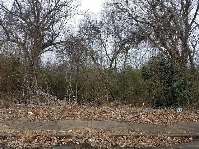 587 King Road, Memphis, TN 38109 - photo 2