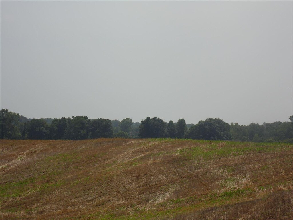 00 Appleberry Road, TN 38058