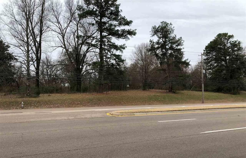 7073 Stage Road Normandy Circle, Memphis, TN 38133 - photo 1