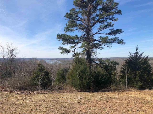 680 Rivers Edge Drive, Bath Springs TN, 38311 land for sale