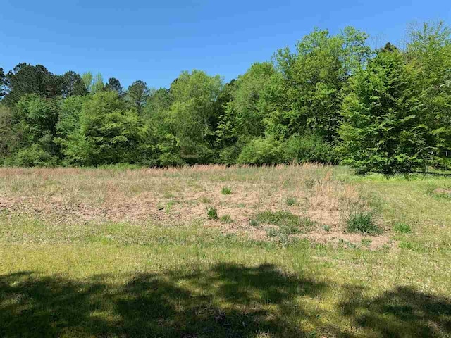 0 Caney Branch Road, Adamsville, TN 38310 - photo 1