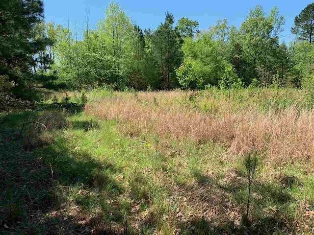 0 Caney Branch Road, Adamsville, TN 38310 - photo 2