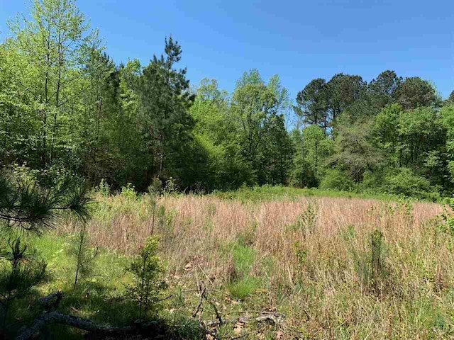 0 Caney Branch Road, Adamsville, TN 38310 - photo 4