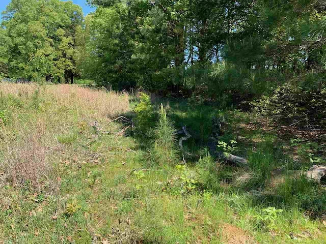 0 Caney Branch Road, Adamsville, TN 38310 - photo 5