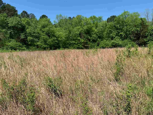0 Caney Branch Road, Adamsville, TN 38310 - photo 6