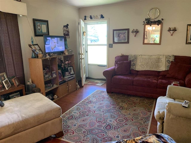 living room featuring dark wood-type flooring