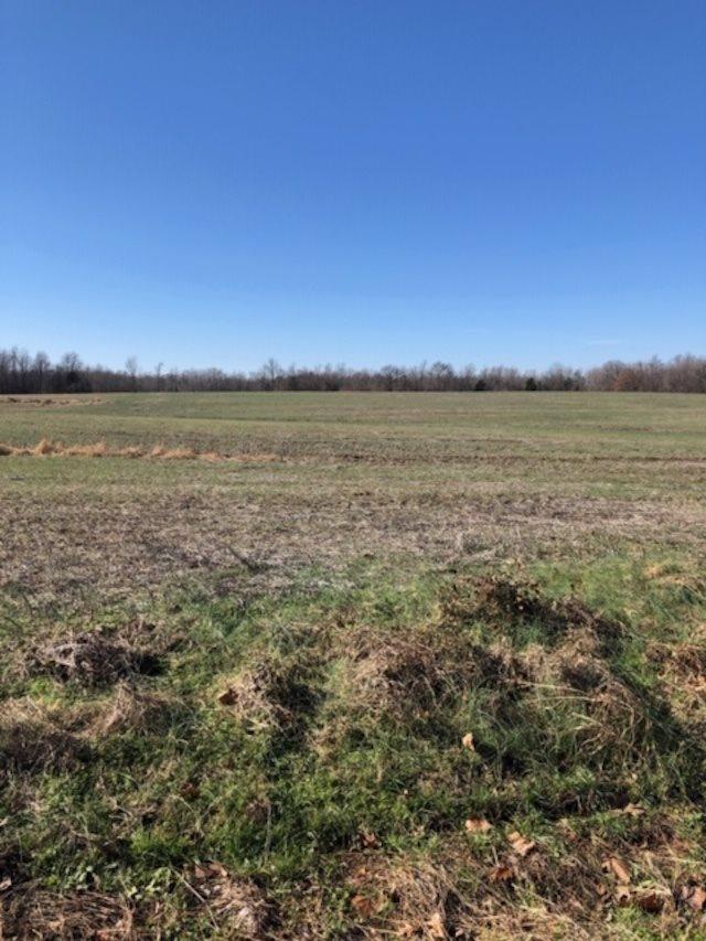 820 Morrison Road, Whiteville, TN 38075 - photo 1