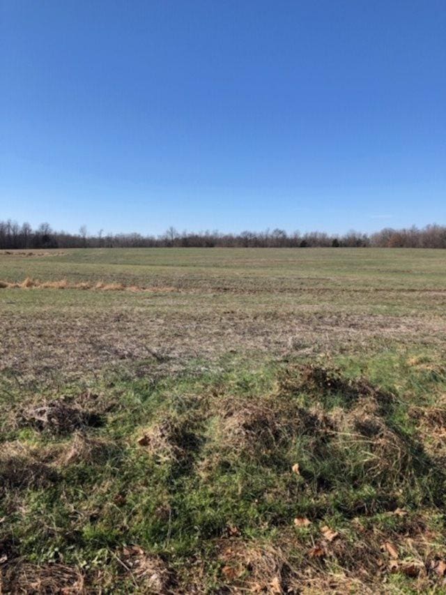 820 Morrison Road, Whiteville, TN 38075 - photo 1